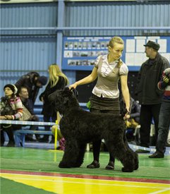 c9dd1933baae.jpg (286.09 КБ, Просмотров: 8499) c9dd1933baae.jpg