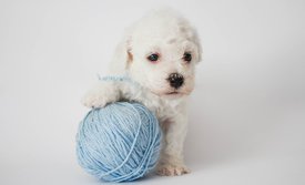 cuF-sPZXHvo.jpg (54.15 КБ, Просмотров: 3702) cuF-sPZXHvo.jpg