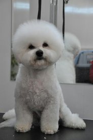 dBybUc0dlus.jpg (35.38 КБ, Просмотров: 3311) dBybUc0dlus.jpg