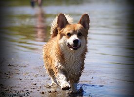 de24882bb0aea0a28d0569e20fdc47e8.jpg (345.79 КБ, Просмотров: 26513) de24882bb0aea0a28d0569e20fdc47e8.jpg