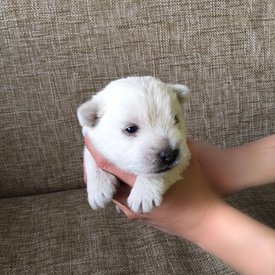 e636a5da-4ee4-4879-af8a-92f556054d22.jpg (246.31 КБ, Просмотров: 1536) e636a5da-4ee4-4879-af8a-92f556054d22.jpg