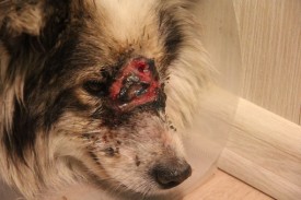 eZrH1JNJrQU.jpg (40.32 КБ, Просмотров: 2635) eZrH1JNJrQU.jpg