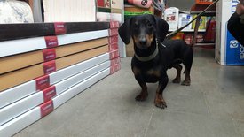 enVtu-qylJE.jpg (114.54 КБ, Просмотров: 1480) enVtu-qylJE.jpg