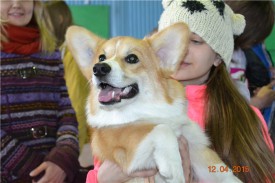 fdf5cdf05cc4.jpg (62.57 КБ, Просмотров: 4791) fdf5cdf05cc4.jpg