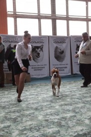 ffVYHRLzR40.jpg (65.31 КБ, Просмотров: 6236) ffVYHRLzR40.jpg