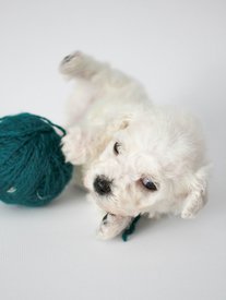 g8ETYxw0DME.jpg (77.79 КБ, Просмотров: 3702) g8ETYxw0DME.jpg