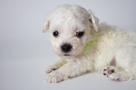 gJXbfk7JikU.jpg (72.78 КБ, Просмотров: 3702) gJXbfk7JikU.jpg