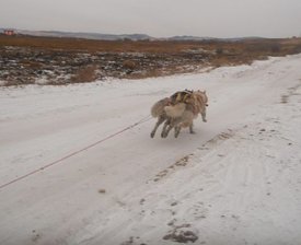 getImage (2).jpg (22.73 КБ, Просмотров: 7821) getImage (2).jpg