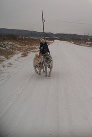getImage (3).jpg (14.37 КБ, Просмотров: 8053) getImage (3).jpg