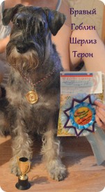 getImage (3).jpg (139.56 КБ, Просмотров: 1951) getImage (3).jpg