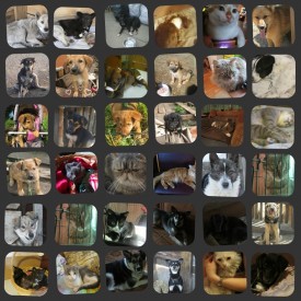 getImageCAHLLX1X.jpg (162.84 КБ, Просмотров: 5588) getImageCAHLLX1X.jpg