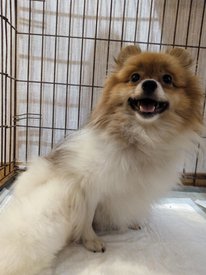 hwhAZAUOCDk.jpg (309.65 КБ, Просмотров: 2277) hwhAZAUOCDk.jpg