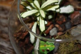 i6CUMPOnNXU.jpg (21.35 КБ, Просмотров: 2808) i6CUMPOnNXU.jpg