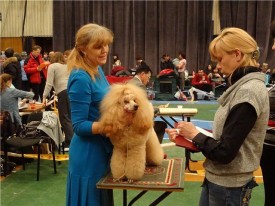 imageф.jpg (68.2 КБ, Просмотров: 2522) imageф.jpg