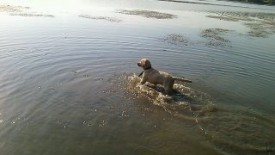 image (2).jpg (13.26 КБ, Просмотров: 1560) image (2).jpg