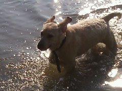 image (3).jpg (15.3 КБ, Просмотров: 1560) image (3).jpg