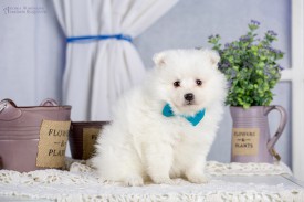 image (5).jpg (76.92 КБ, Просмотров: 1362) image (5).jpg