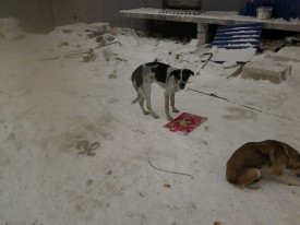 image 2.jpeg