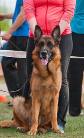 image-0-02-05-fbcf6d40b5ba099af9f415154ccc239b607380ea6e8618348ae72ea6ce1a8b27-V.jpg (89.37 КБ, Просмотров: 1370) image-0-02-05-fbcf6d40b5ba099af9f415154ccc239b607380ea6e8618348ae72ea6ce1a8b27-V.jpg