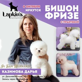 image-22-09-20-08-13.jpeg (87.87 КБ, Просмотров: 8099) image-22-09-20-08-13.jpeg