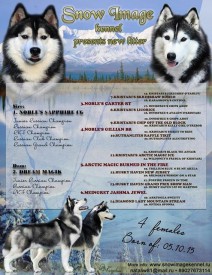 image.jpeg (137.22 КБ, Просмотров: 1817) image.jpeg