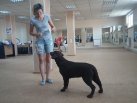 image.jpg (400.44 КБ, Просмотров: 6264) image.jpg