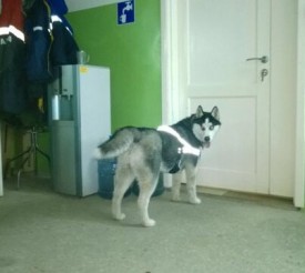 image.jpg (33.69 КБ, Просмотров: 1523) image.jpg