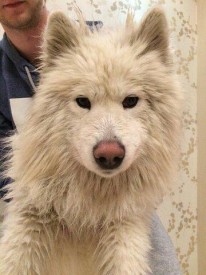 image.jpg (60.5 КБ, Просмотров: 1624) image.jpg