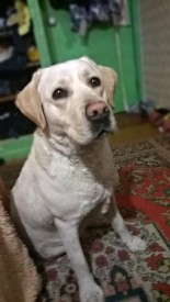 image.jpg (34.61 КБ, Просмотров: 2368) image.jpg