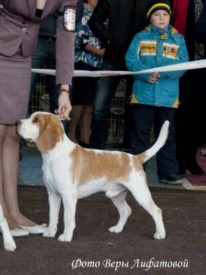 image.jpg (106.92 КБ, Просмотров: 1872) image.jpg