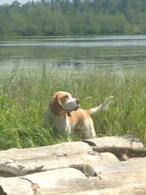 image.jpg (197.72 КБ, Просмотров: 1872) image.jpg