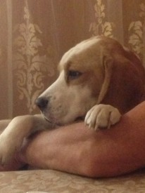 image.jpg (141.29 КБ, Просмотров: 1872) image.jpg