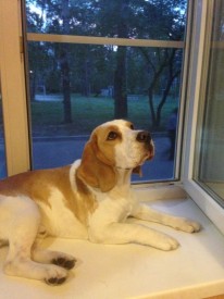 image.jpg (189.74 КБ, Просмотров: 1872) image.jpg