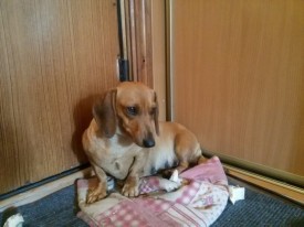 image.jpg (111.43 КБ, Просмотров: 1694) image.jpg