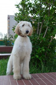 image.jpg (220.71 КБ, Просмотров: 2202) image.jpg