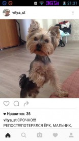 imageXNPWPQWQ.jpg (64.11 КБ, Просмотров: 1558) imageXNPWPQWQ.jpg