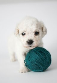 jFIWSSbtg50.jpg (66.29 КБ, Просмотров: 3702) jFIWSSbtg50.jpg