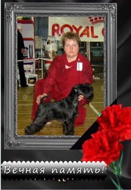 jY8LO8InALM.jpg (66.77 КБ, Просмотров: 8918) jY8LO8InALM.jpg