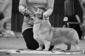 lipRb8Tz.jpg (39.6 КБ, Просмотров: 4780) lipRb8Tz.jpg