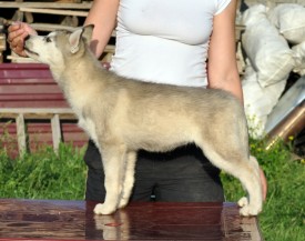 o2vwpaV0yvI.jpg (98.42 КБ, Просмотров: 1120) o2vwpaV0yvI.jpg