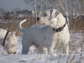 p1nJ7Py1TQ8.jpg (180.74 КБ, Просмотров: 7695) p1nJ7Py1TQ8.jpg