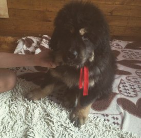 rq85JW25L4c.jpg (88.54 КБ, Просмотров: 1849) rq85JW25L4c.jpg