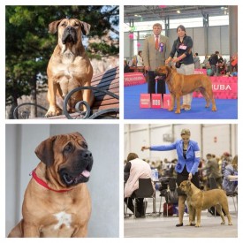 uyo2sUXFkx0.jpg (92.88 КБ, Просмотров: 2938) uyo2sUXFkx0.jpg