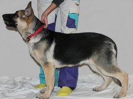 viber image6копия.jpg