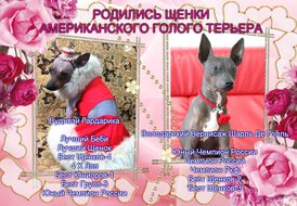 7.jpg (338.85 КБ, Просмотров: 1767) 7.jpg