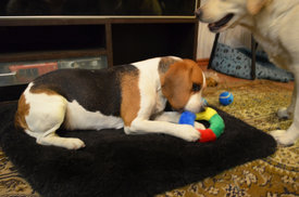 DSC_0630.jpg (601.51 КБ, Просмотров: 3701) DSC_0630.jpg