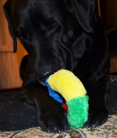 DSC_0637.jpg (672.1 КБ, Просмотров: 3705) DSC_0637.jpg