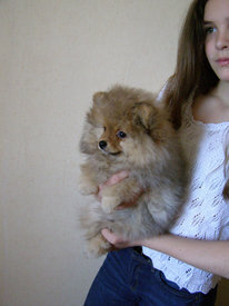 P1010010-1.jpg (368.65 КБ, Просмотров: 2197) P1010010-1.jpg