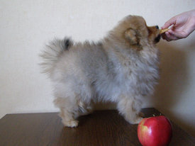 P1010018-1.jpg (336.06 КБ, Просмотров: 1984) P1010018-1.jpg