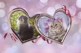 68040650-68D5-45AF-9836-09D50B9F6C21.jpg (136.37 КБ, Просмотров: 4454) 68040650-68D5-45AF-9836-09D50B9F6C21.jpg